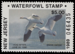 Scan of NJ6NR 1989 MNH VF