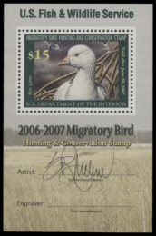 Picture of RW73B 2006 Duck Stamp  MNH F-VF