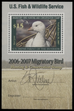 Picture of RW73B 2006 Duck Stamp  MNH F-VF