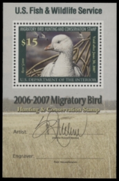 Scan of RW73B 2006 MNH F-VF
