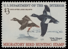 Scan of RW36 1969 MNH F-VF
