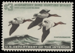 Scan of RW32 1966 MNH F-VF