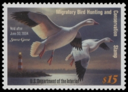 Scan of RW70 2003 MNH VF