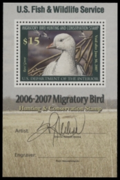 Picture of RW73B 2006 Duck Stamp  MNH F-VF