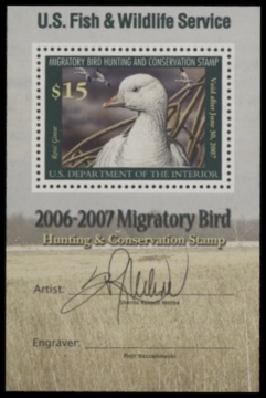 Picture of RW73B 2006 Duck Stamp  MNH F-VF