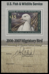 Scan of RW73B 2006 MNH F-VF