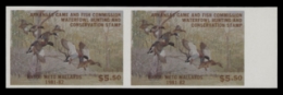 Scan of AR1P 1981 MNH VF
 First of State