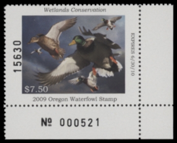 Picture of 2009 Oregon Duck Stamp MNH VF