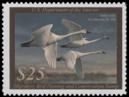 Scan of RW90 2023 MNH VF