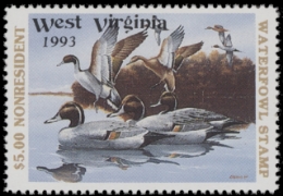 Scan of WV7NR 1993  VF
 Res