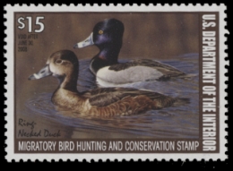 Scan of RW74 2007 MNH VF