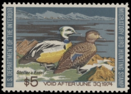 Picture of RW40 1973 Duck Stamp. MLH