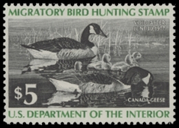 Picture of RW43 1976 Duck Stamp. MLH