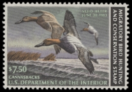 Picture of RW49 1982 Duck Stamp. MLH