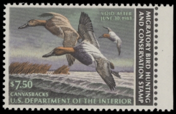 Picture of RW49 1982 Duck Stamp. Unsigned