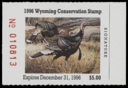 Scan of WY13 1996  VF