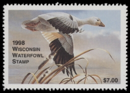 Scan of WI21 1998  VF