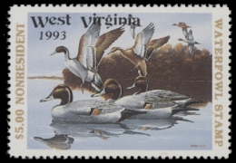 Scan of WV7NR 1993  VF
