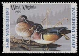 Scan of WV9NR 1995  VF
