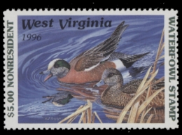 Scan of WV10NR 1996  VF