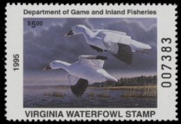 Scan of VA8 1995  VF