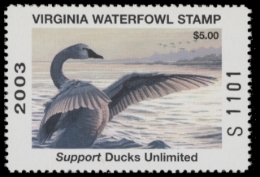 Picture of 2003 Virginia Duck Stamp