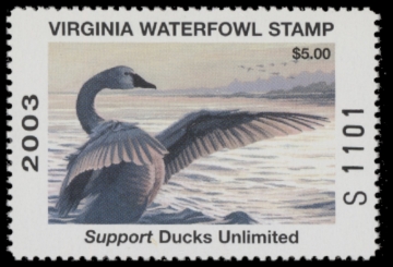 Picture of 2003 Virginia Duck Stamp