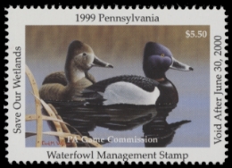 Scan of PA17 1999  VF