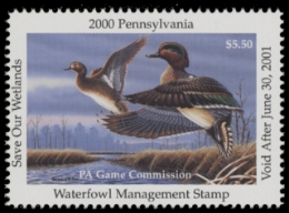 Scan of PA18 2000  VF