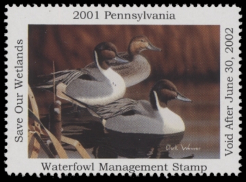 Picture of 2001 Pennsylvania Duck Stamp