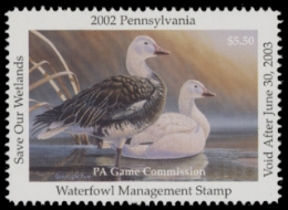 Scan of PA20 2002  VF