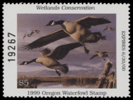 Scan of OR17 1999  VF