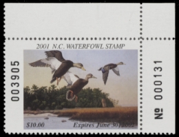 Scan of NC19 2001  VF