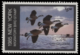 Scan of NY1 1985  VF
 First of State