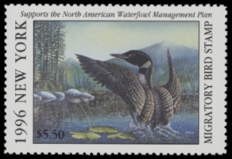 Scan of NY12 1996  VF