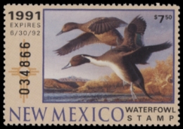 Scan of NM1 1991  VF
 First of State