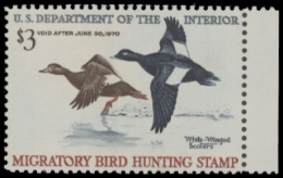 Scan of RW36 1969 MNH F-VF