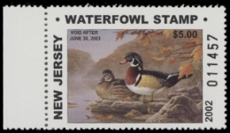 Scan of NJ19 2002  VF