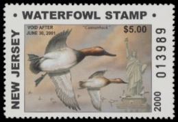 Scan of NJ17 2000  VF