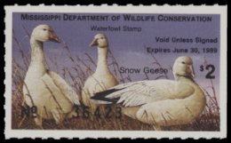 Scan of MS13 1988  VF