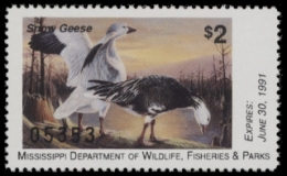 Scan of MS15 1990  VF