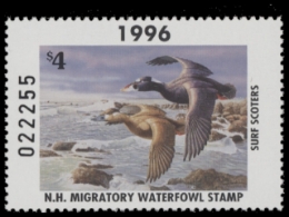 Scan of NH14 1996  VF
