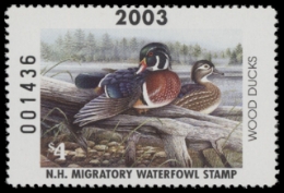 Scan of NH21 2003  VF