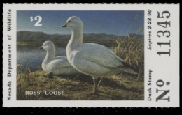 Scan of NV10 1988  VF