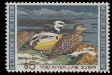 Picture of RW40 1973 Duck Stamp. MNH
