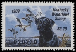 Scan of KY5 1989  VF