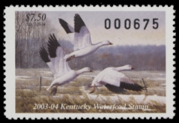 Scan of KY19 2003  VF