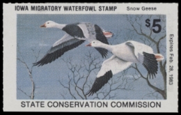 Scan of IA11 1982  VF