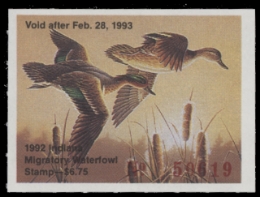 Scan of IN17 1992  VF