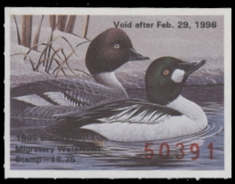 Scan of IN20 1995  VF
